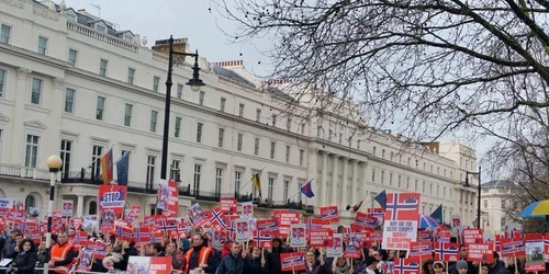 Proteste familia Bodnariu Londra 