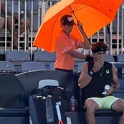 tenis tigara jpeg