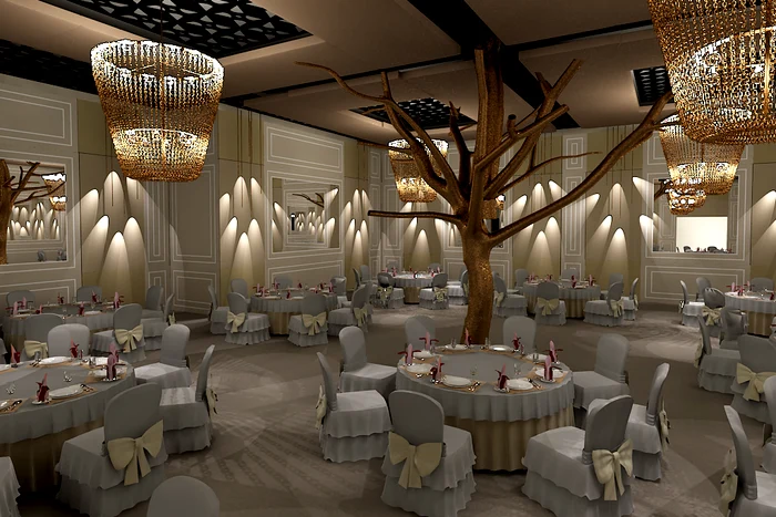 jubile the ballroom decebal1 jpeg