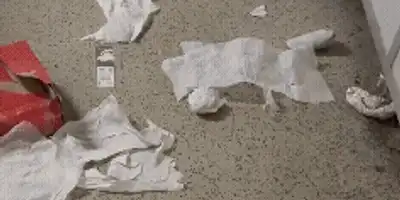 reduceri (1) gif