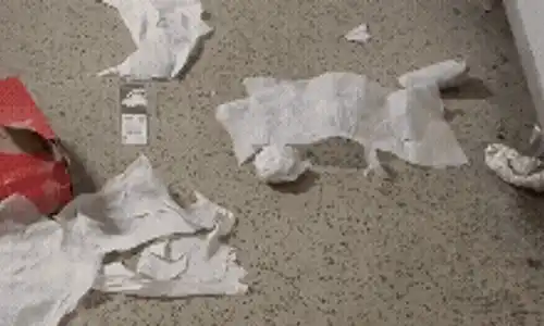 reduceri (1) gif