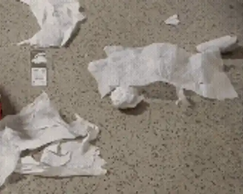 reduceri (1) gif