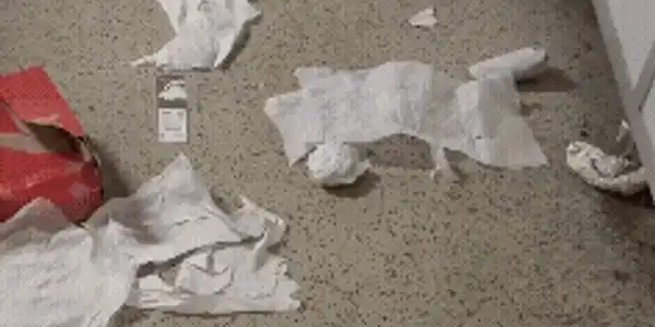reduceri (1) gif