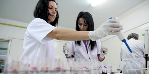 Timisoara: ORAŞUL PE SCURT / Au rămas bani de analize medicale