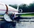 4 avion jpg jpeg