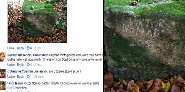 cetatea dacica
