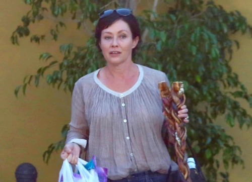 shannen doherty 1 png