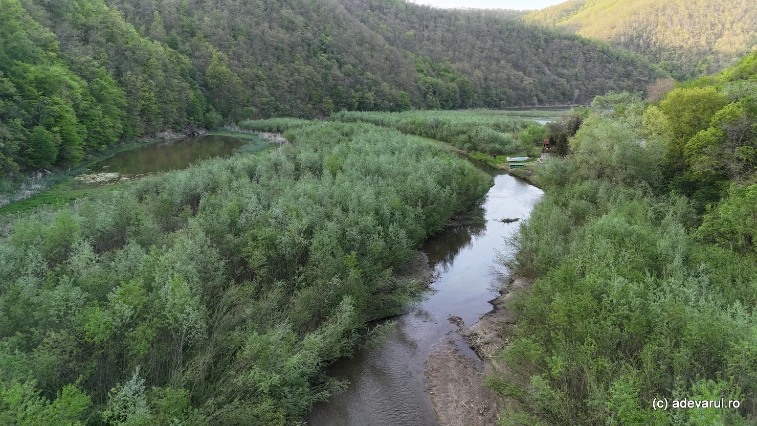 Lacul Cinciș, de nerecunoscut după epoca vacanțelor de 1 Mai. De la sutele de corturi la junglă, insule și locuri interzise