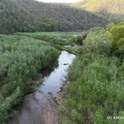 Lcul Cinciș 2026 Foto Daniel Guță ADEVĂRUL (6) JPG