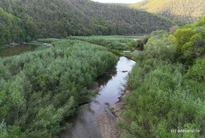 Lcul Cinciș 2026 Foto Daniel Guță ADEVĂRUL (6) JPG