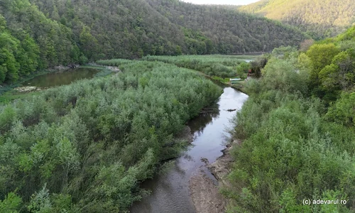 Lcul Cinciș 2026 Foto Daniel Guță ADEVĂRUL (6) JPG