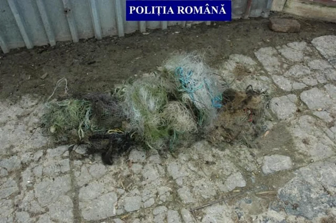 Plasele cu care se pescuia au fost confiscate Foto:IPJ Călăraşi
