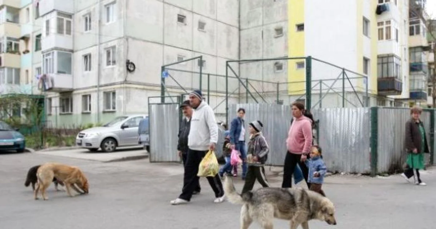 Foto: Arhivă. 