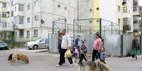Foto: Arhivă. 