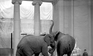 Mediul de afaceri trebuie să asculte şi să conducă jpeg