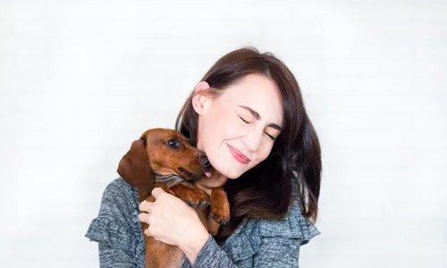 Câine, Pexels (1) jpg