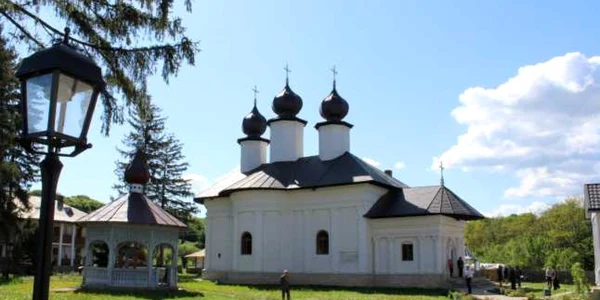 vorona