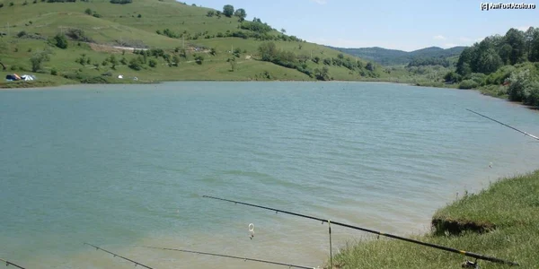 Pescuit la Bezid