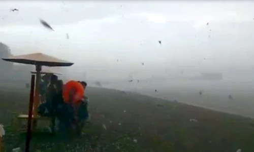 siberia jpeg