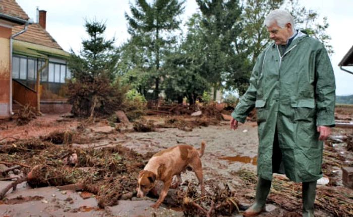 Câinele Bruno a supravieţuit, stăpânii lui nu Foto: Remus Runcan