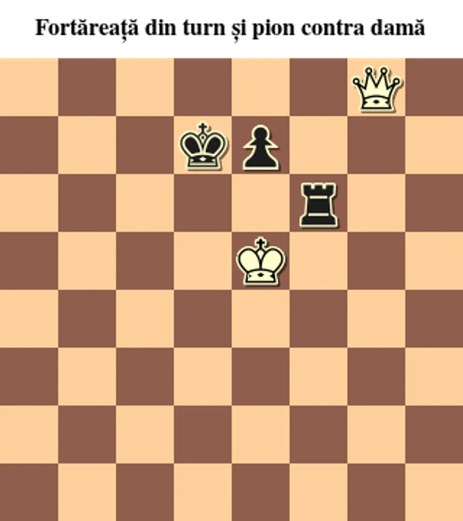 poz3 png png