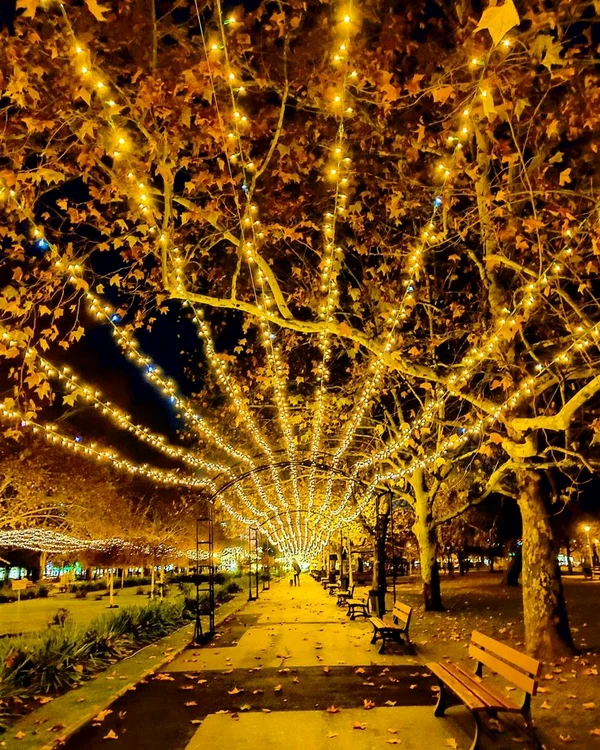 
    Tunelul de lumini din Parcul Crângași  