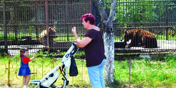 Animalele de la Zoo trec vara cu salată de fructe