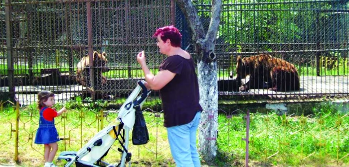 Animalele de la Zoo trec vara cu salată de fructe