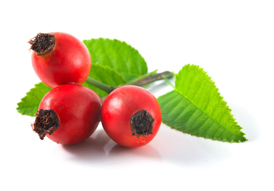Măceșele conțin mai multă vitamina C decât citricele Foto: Pixabay.com 