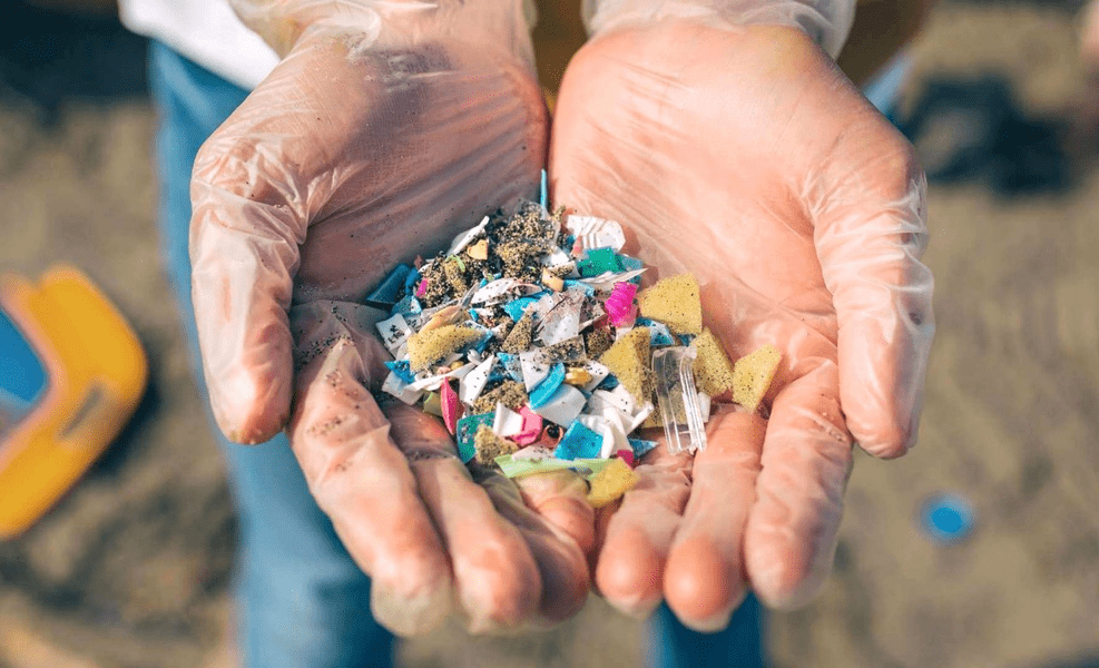 Micro-plasticul din alimente poate cauza boli digestive și cancer. Concluziile cercetătorilor români