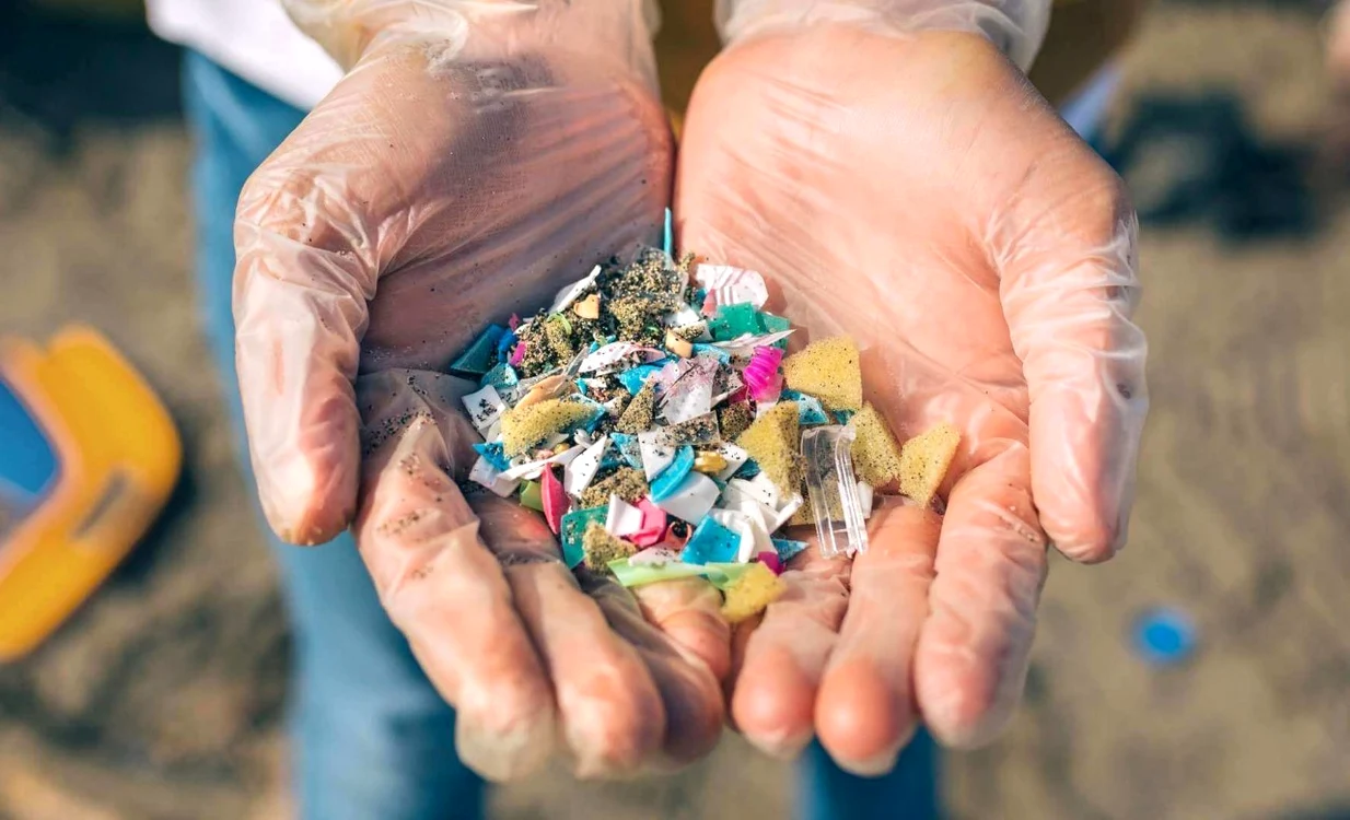 Mai multe specii din Marea Neagră sunt contaminate cu microplastice FOTO Arhivă