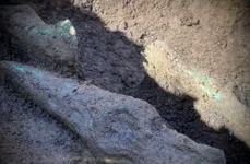 Tezaur eneolitic descoperit în Mureș (foto: Muzeul Județean Mureș)
