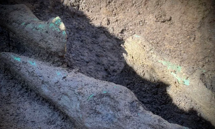 Tezaur eneolitic descoperit în Mureș (foto: Muzeul Județean Mureș)