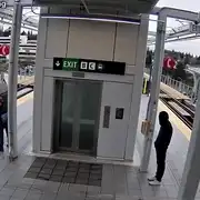 Impins in fata trenului gif