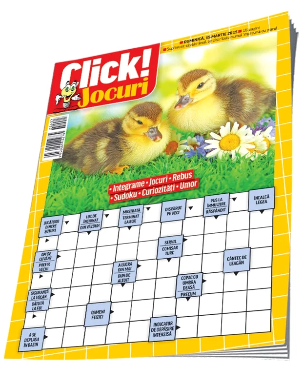 Revista are 16 pagini pline cu jocurifoto: Click!