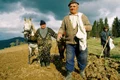 Echinocțiul de primăvară marchează începutul muncii la câmp pentru țăranul român jpeg