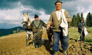 Echinocțiul de primăvară marchează începutul muncii la câmp pentru țăranul român jpeg