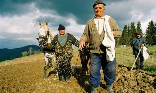 Echinocțiul de primăvară marchează începutul muncii la câmp pentru țăranul român jpeg