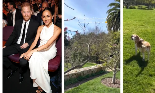 Grădina casei lui Meghan Markle Instagram colaj jpeg jpg