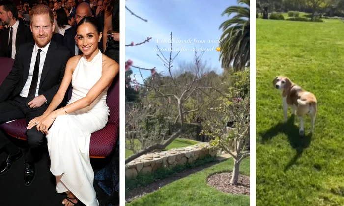 Grădina casei lui Meghan Markle Instagram colaj jpeg jpg