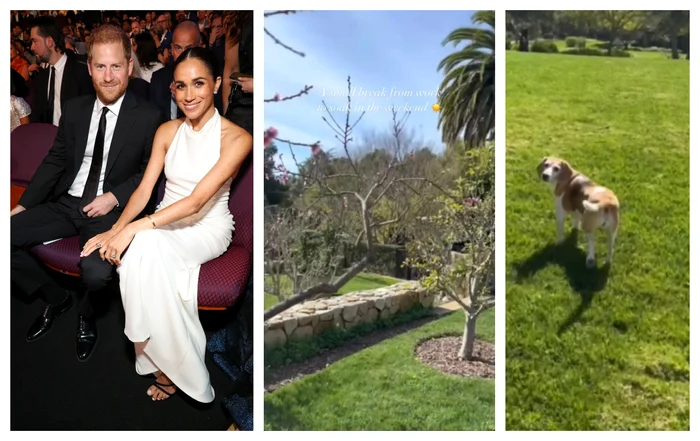 Grădina casei lui Meghan Markle Instagram colaj jpeg jpg