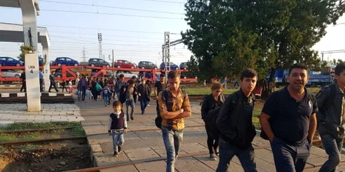 Imigranţi Timişaora FOTO pressalert.ro