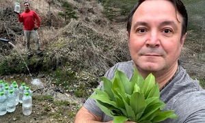 banner dan buzdugan jpg