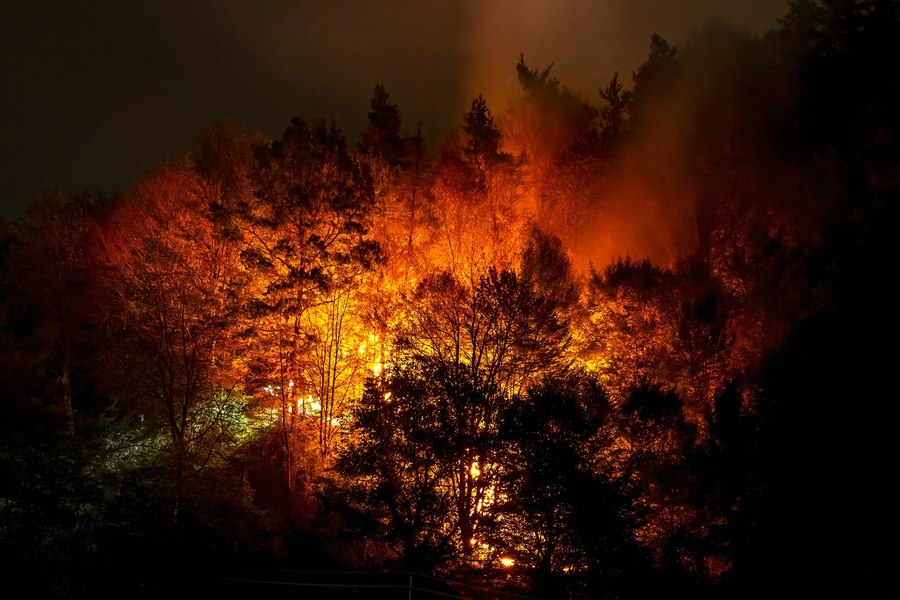 Femeie de 61 de ani cercetată pentru provocarea incendiului devastator de pe Valea Oltului FOTO