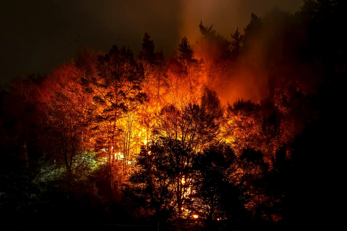 Incendiu de proporții pe Valea Oltului în comuna Racovița Vâlcea Foto Daniel Mîrlea