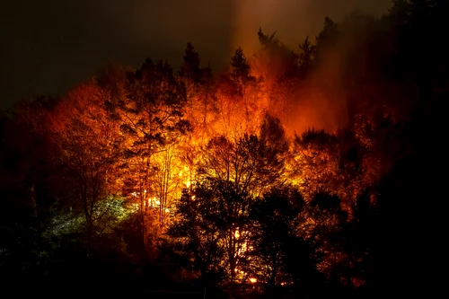 Incendiu de proporții pe Valea Oltului în comuna Racovița Vâlcea Foto Daniel Mîrlea