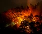 Incendiu de proporții pe Valea Oltului în comuna Racovița Vâlcea Foto Daniel Mîrlea