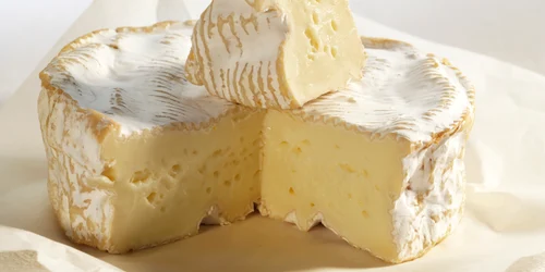 Camembert/ FOTO: dairy-products-from-france.com