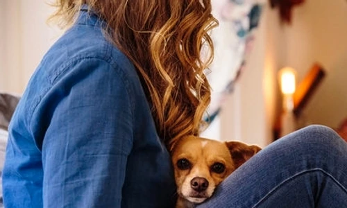 1 67212 original jpg jpeg