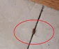 Imagini de la controlul din Azilul Casanova din Râmnicu Vâlcea Sursă Adevărul jpeg